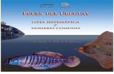 Peces Del Uruguay - Lista Sistemtica y Nombres Comunes
