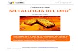 Programa Integral Metalurgia Oro 28.06.2013