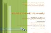 Informe - Practica Industrial -Seccion de Control de Calidad