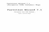 Partition Wizard 7 Recuperar USBs Dañadas