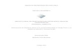 38. Huella Carbono Bancrédito Cartago y medidas compensación.pdf