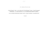 Garcia Lois Tesis-Causas de la selectividad del sistema penal....pdf