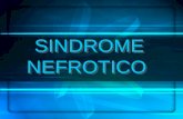 7.Sindrome nefrotico