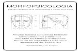 127784731 PDF Dossier Morfopsicologia 1