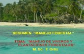 Resumen Manejo Vivero y Plantaciones