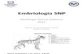 3. Embriología del SNP