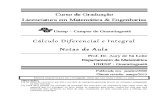 Texto Completo de Cálculo Diferencial e Integral
