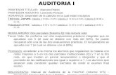 Material Teorico - Auditoria I - 1° Semestre 2013 - UES 21 - Completo