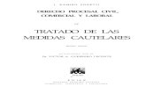 Tratado de Las Medidas Cautelares - j. Ramiro Podetti