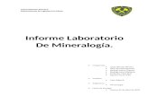 Informe Mineralogia Solis