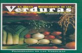 La Gran Enciclopedia de Las Verduras, Christine Ingram (2)