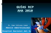 Guias RCP 2010