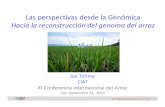 Perspectivas genomica arroz