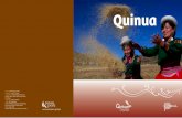 Catálogo de Oferta de Quinua - Español