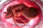 Repaso de embriologia