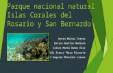 Parque nacional natural islas corales del rosario y san bernardo