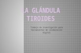 La glándula-tiroides1
