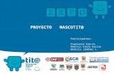 Proyecto Mascotit@s