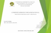 COMPORTAMIENTO ORGANIZACIONAL / PROCESOS INDIVIDUALES Y GRUPALES