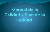 Manual de la calidad y plan de la calidad. electiva iii