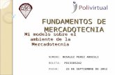 Mi Modelo Sobre El Ambiente de La Mercadotecnia_ Rosalez Perez Araceli_22092012