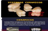 Sistemas Ceramicos - Metal-porcelana