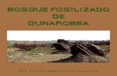 El Bosque Fosilizado de Dunarobba