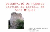 Sortida al Castell de Sant Miquel Observació de plantes