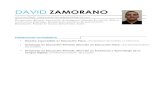 Currículum David Zamorano