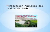 Producción agrícola del valle de tambo