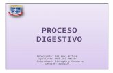 Proceso digestivo  presentacion