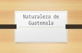 Naturaleza de guatemala
