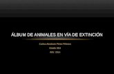 Álbum de animales en vía de extinción