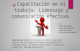 Capacitación en el trabajo Liderazgo y comunicación efectiva.