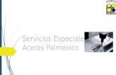 Manual de servicios especiales de aceros palmexico v2.o