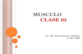 musculo liso