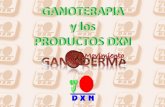 Ganoterapia y los productos de dxn