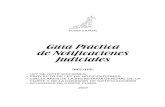 04 guia practica-de_notificaciones_judiciales