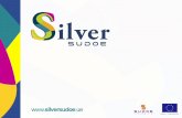 Silver Sudoe - Presentacion taller creatividad 1 coolhunting