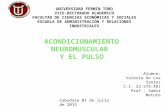 Acondicionamiento neuromuscular