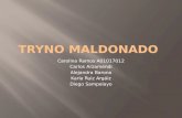 Tryno Maldonado