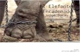 El elefante encadenado - Dr. Jorge Bucay
