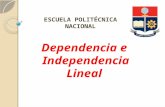 Dependencia e Independencia Lineal