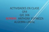 Actividades en clase en algebra lineal anthony espinoza