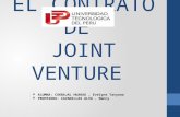 Joint venture (1)