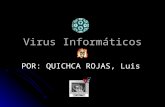 Virus informticos