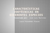 Caracteristicas Zootecnicas Especies en estudios