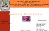 Genero Borrelia----- Bacteriologia.