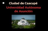 Presentacion Caacupe - Hector Gimenez