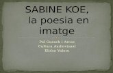 Sabine koe
